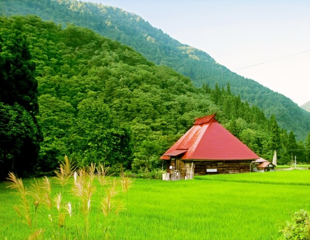 トタン屋根の画像